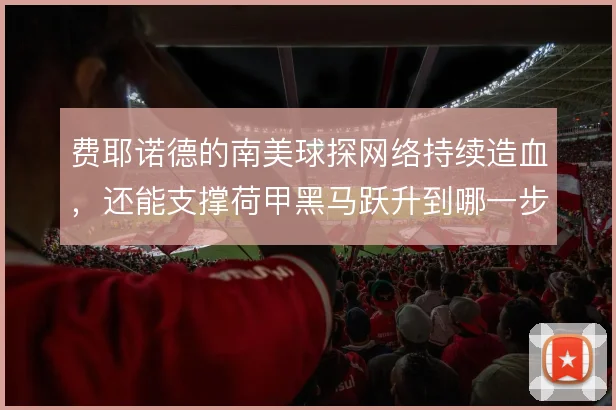费耶诺德的南美球探网络持续造血，还能支撑荷甲黑马跃升到哪一步