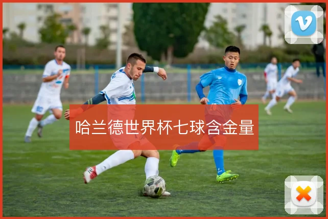 哈兰德世界杯七球含金量