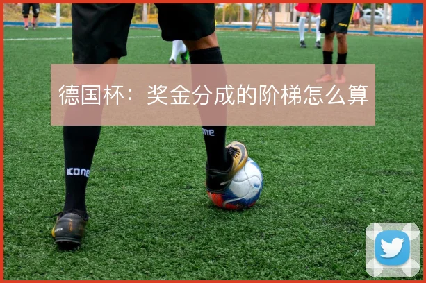 德国杯：奖金分成的阶梯怎么算