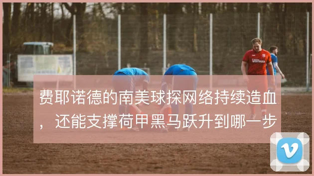 费耶诺德的南美球探网络持续造血，还能支撑荷甲黑马跃升到哪一步