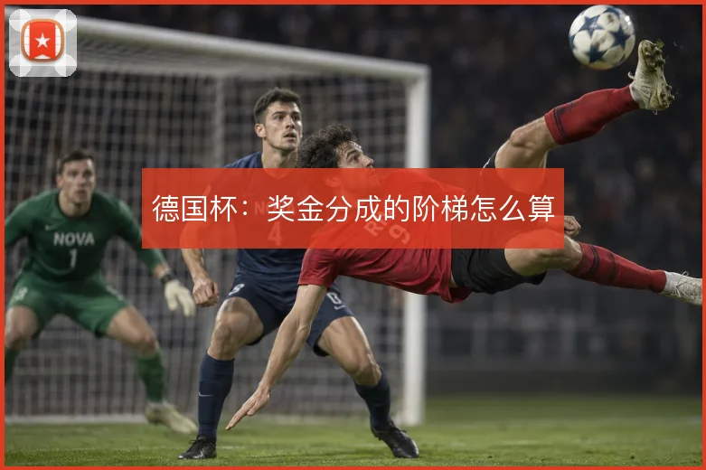 德国杯:奖金分成的阶梯怎么算